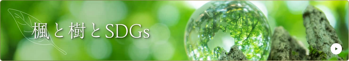 楓と樹とSDGs